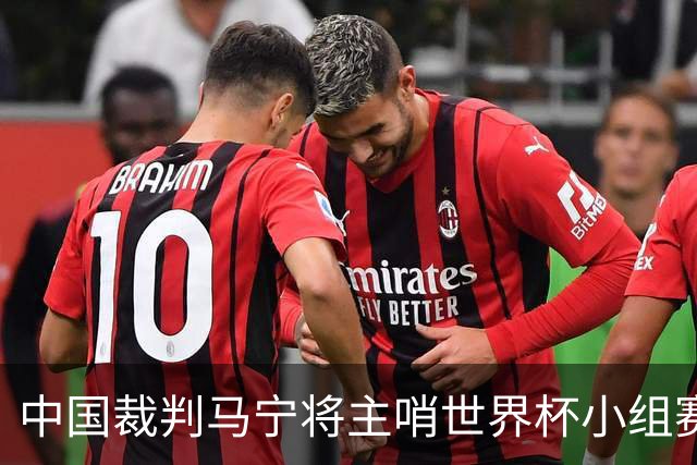 中国裁判马宁将主哨世界杯小组赛第二轮比赛